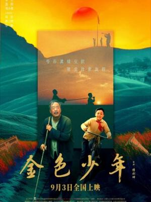 投资分析报告